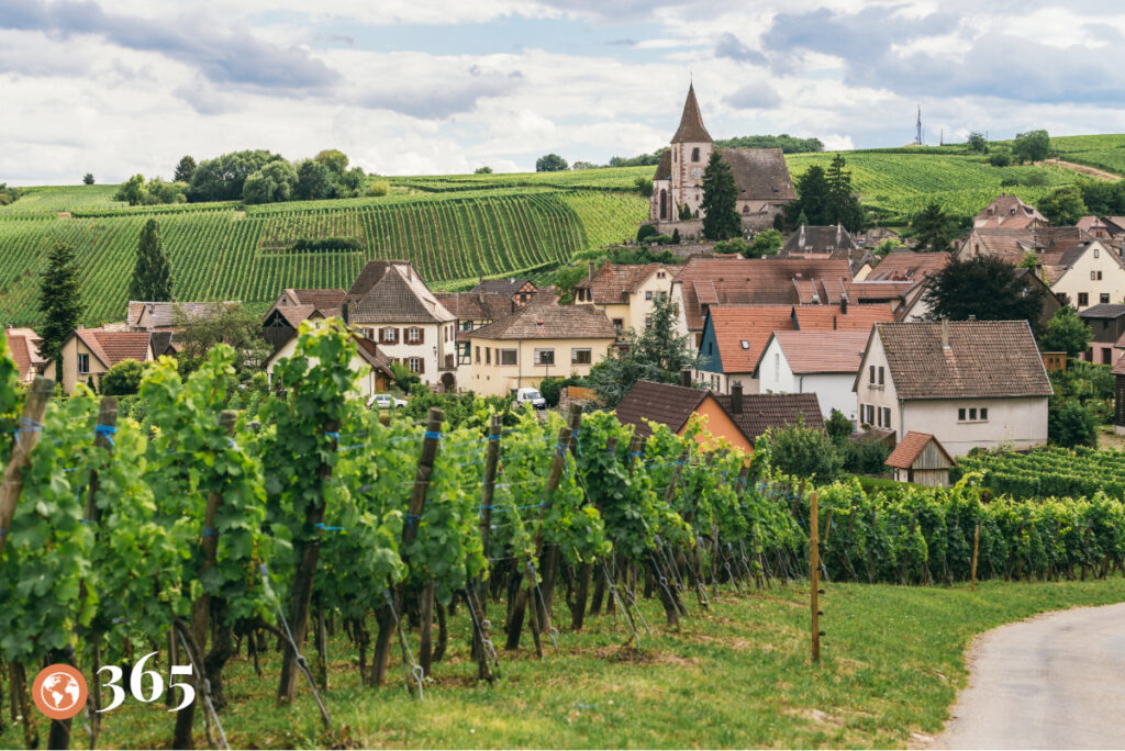 Luxury Travel: Wine Tasting in France with TL365