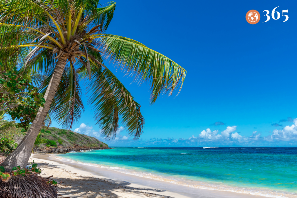 Experience Unmatched Luxury with Sandals Resorts: Your Ultimate Caribbean Escape: TL365