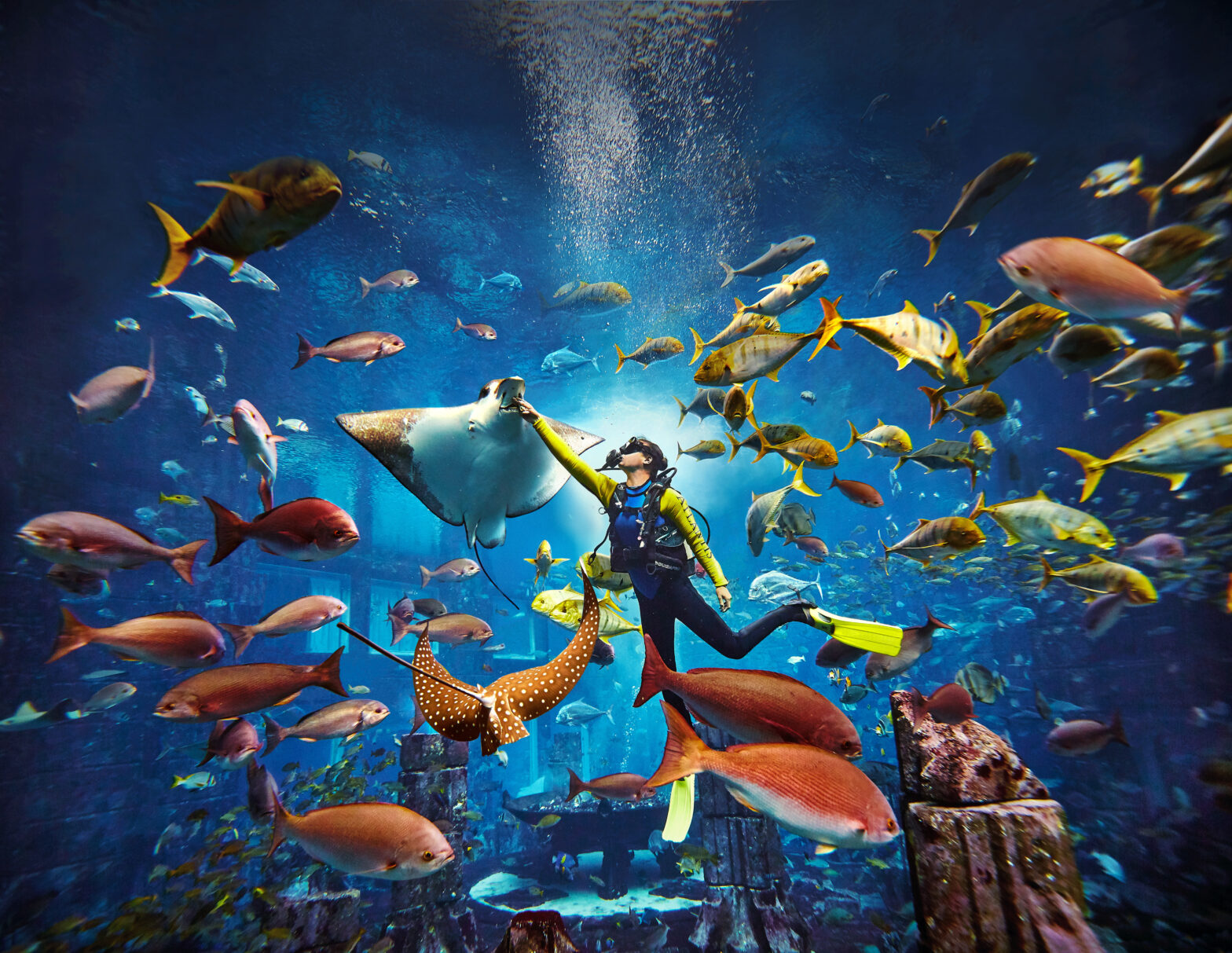 Dive into Atlantis Dubai: Unforgettable Underwater Luxury Experiences