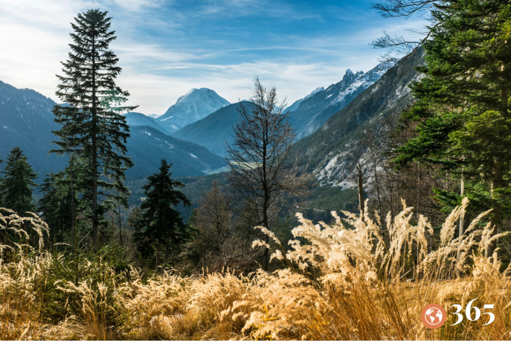 History, Charm and Alpine  Beauty: A Tailored Journey Through Germany and Austria 