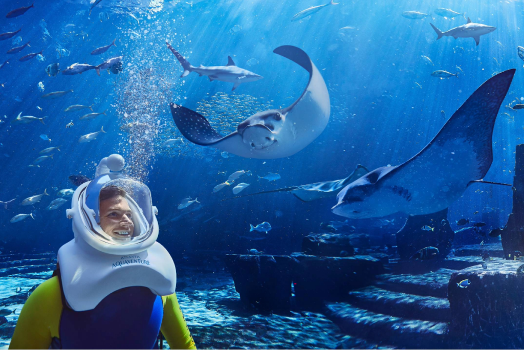 Dive into Atlantis Dubai: Unforgettable Underwater Luxury Experiences 