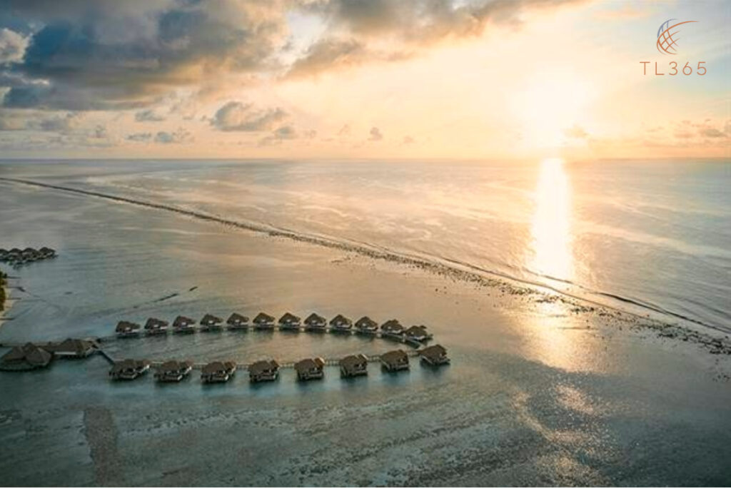 Your Dream Honeymoon in the Maldives: A TL365 Experience 