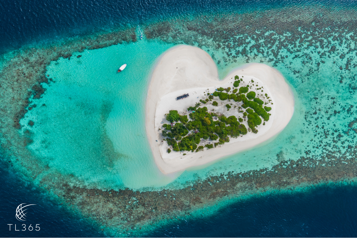 Your Dream Honeymoon in the Maldives: A TL365 Experience 