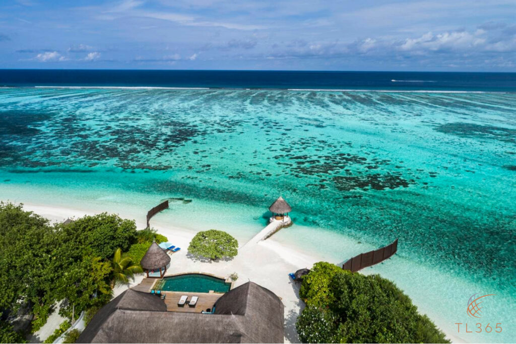 Your Dream Honeymoon in the Maldives: A TL365 Experience 