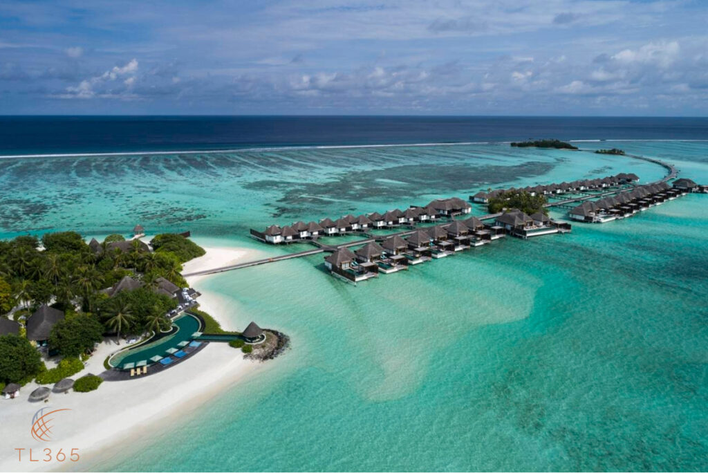 Your Dream Honeymoon in the Maldives: A TL365 Experience 