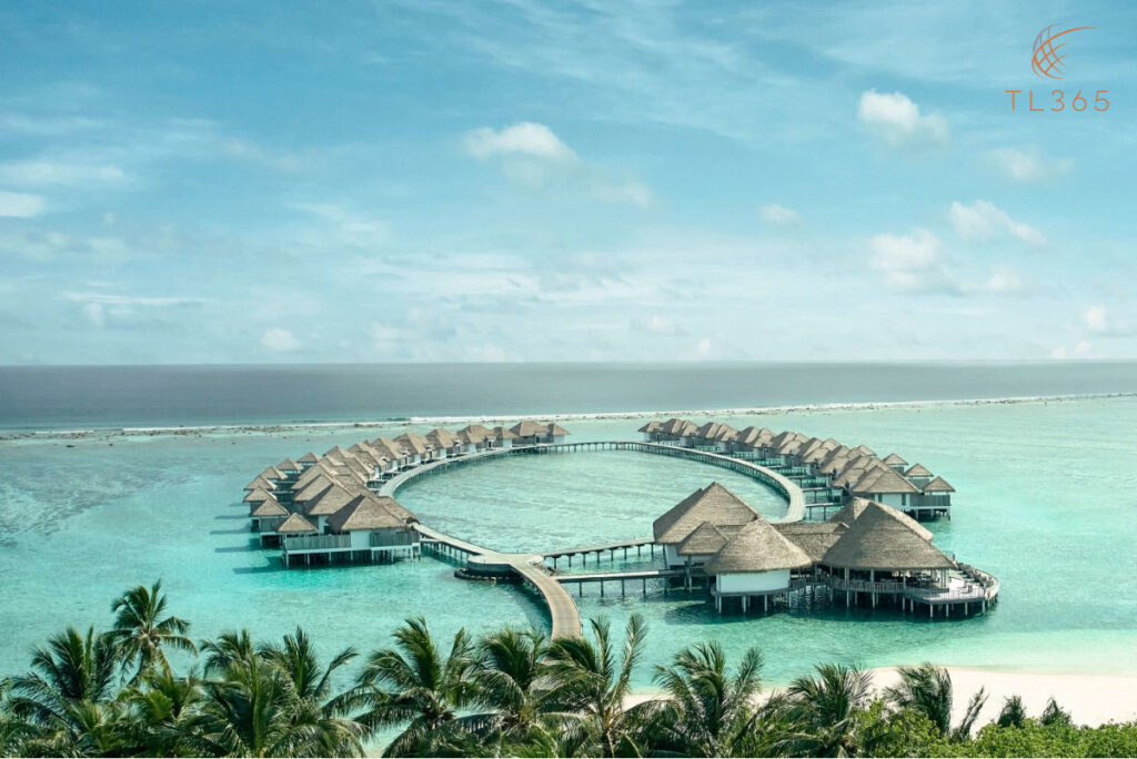 Your Dream Honeymoon in the Maldives: A TL365 Experience 