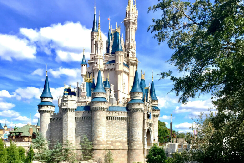 Unforgettable Disney Magic: A VIP Family Vacation 