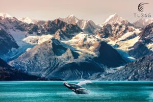 Discover the Beauty of Alaska: Princess